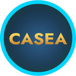 Expertní recenze kasina Casea